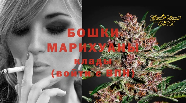 индика Кинешма