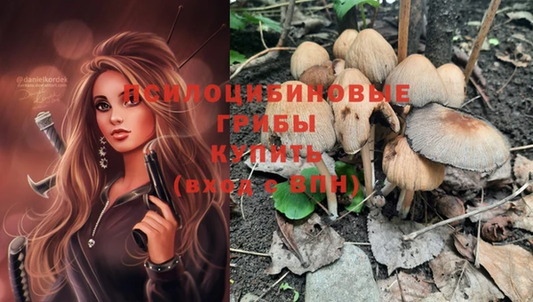 бошки Кодинск
