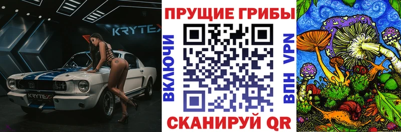 Купить  Ковылкино  Псилоцибиновые грибы Magic Shrooms 